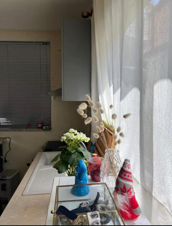 Apartament Brilant Center